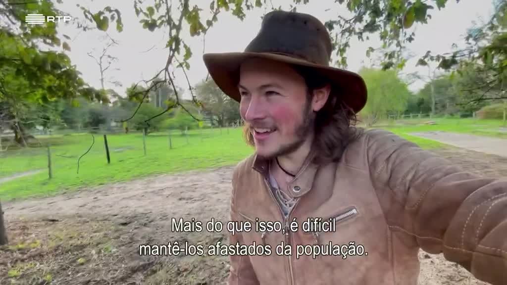 Imagem de Seres da Cidade