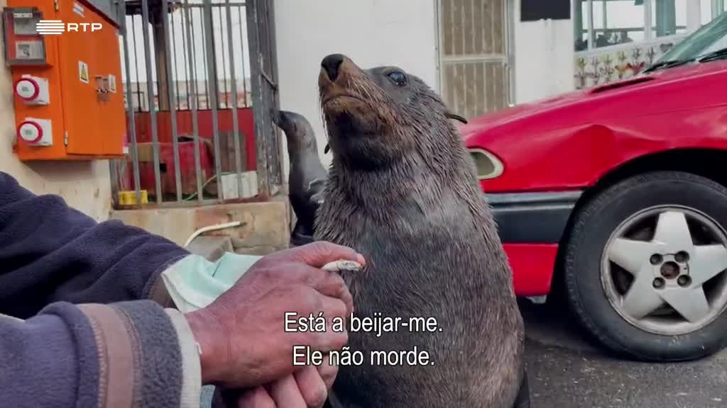 Imagem de Seres da Cidade