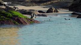 Imagem de Seres da Cidade