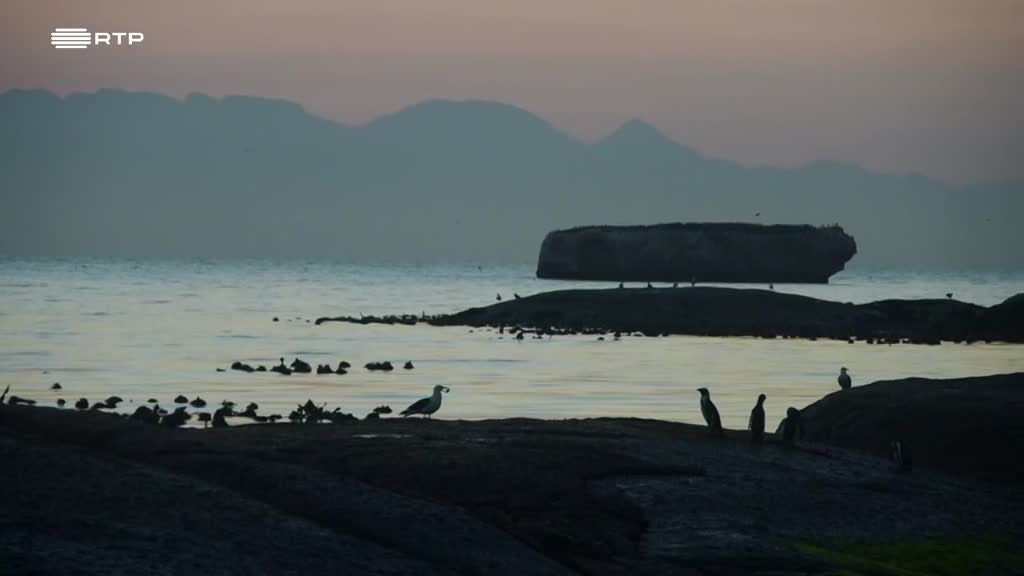 Imagem de Seres da Cidade