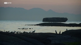 Imagem de Seres da Cidade