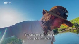 Imagem de Seres da Cidade