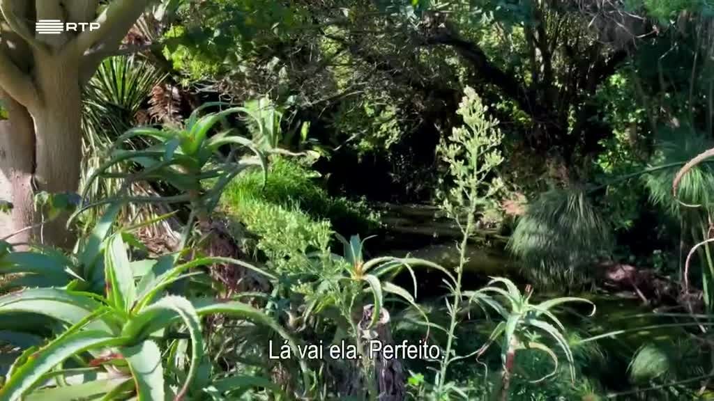 Imagem de Seres da Cidade