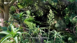 Imagem de Seres da Cidade