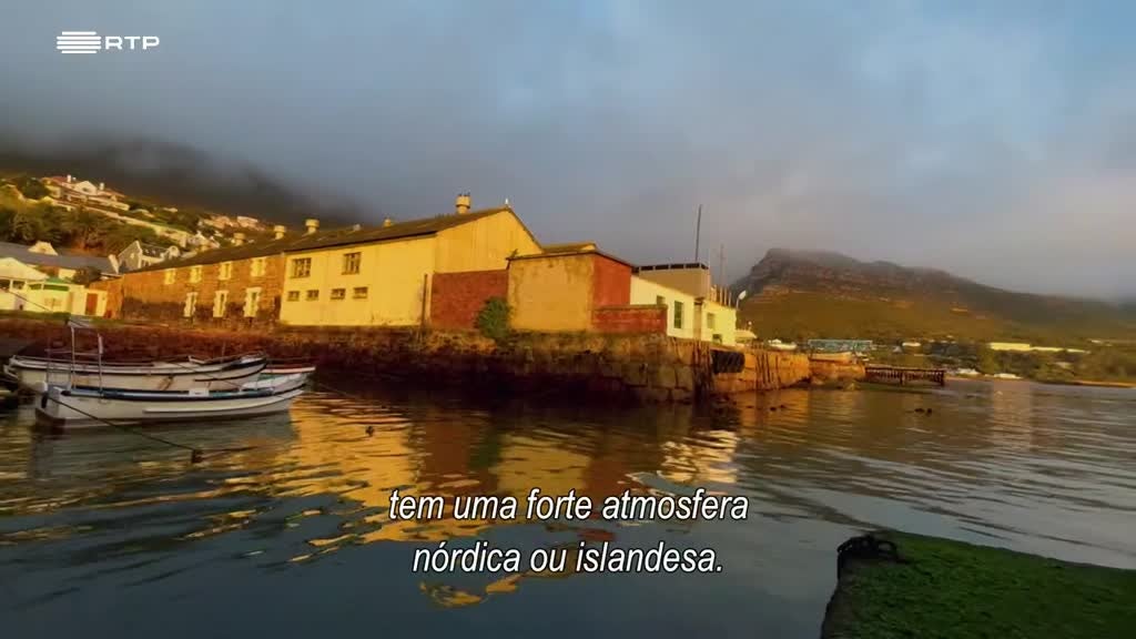 Imagem de Seres da Cidade