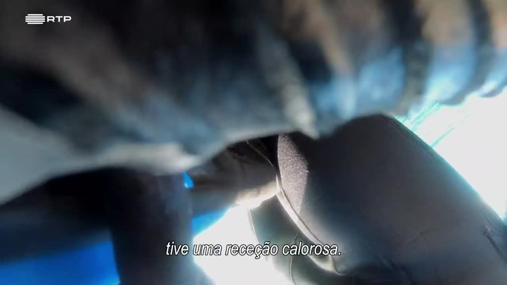 Imagem de Seres da Cidade