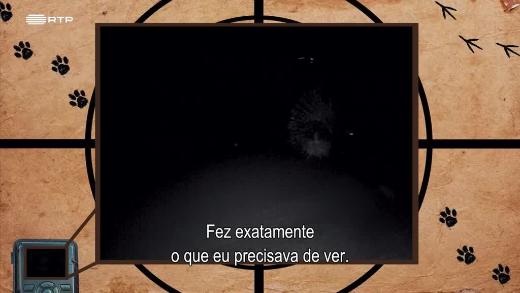 Imagem de Seres da Cidade