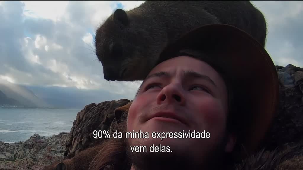 Imagem de Seres da Cidade