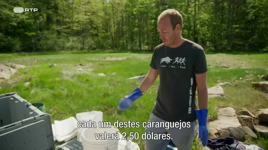 Imagem de Mudanças no Oceano: Biodiversidade no G