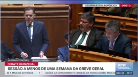 Imagem de Notcias 11