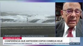 Imagem de Notcias 11