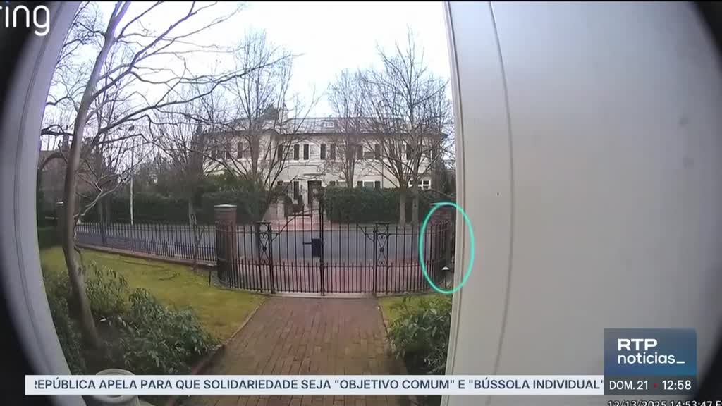 Imagem de Notícias 13