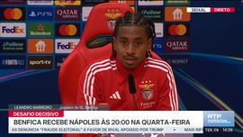 Imagem de Not�cias 14