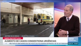 Imagem de Not�cias 14