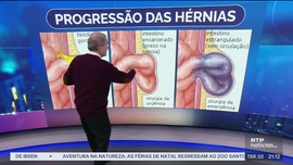 Imagem de Notcias 21