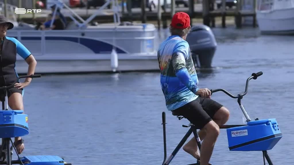 Imagem de A Costa Ocidental da Florida: Peixes-boi