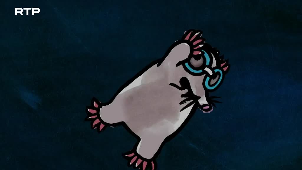 Imagem de O Pequeno Malabar