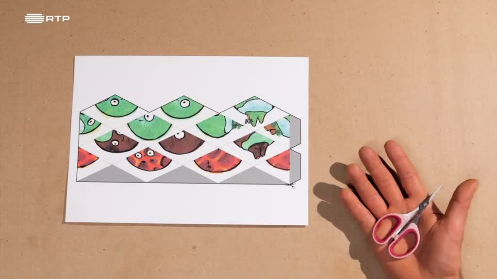 Imagem de O Pequeno Malabar - Episódios Especiais