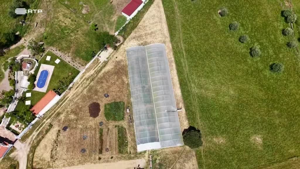 Imagem de Entre o Mar e a Terra - Um Imenso Alentejo Entre a Horta e o Olival