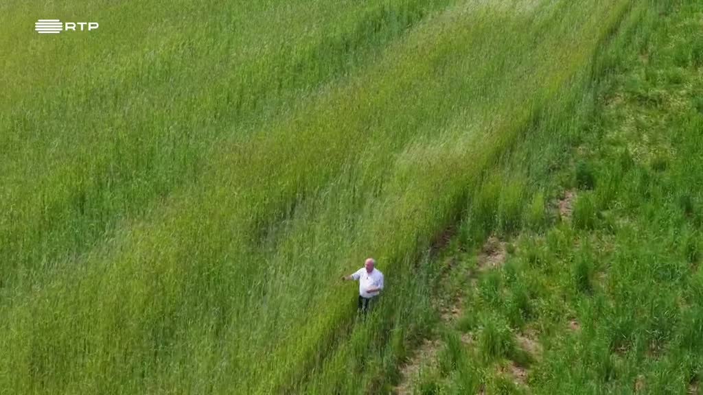 Imagem de Entre o Mar e a Terra - De Montalegre a Bragança Manda a Juventude