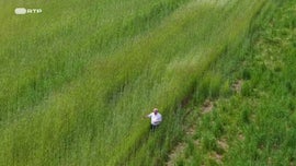 Imagem de De Montalegre a Bragan�a Manda a Juventude