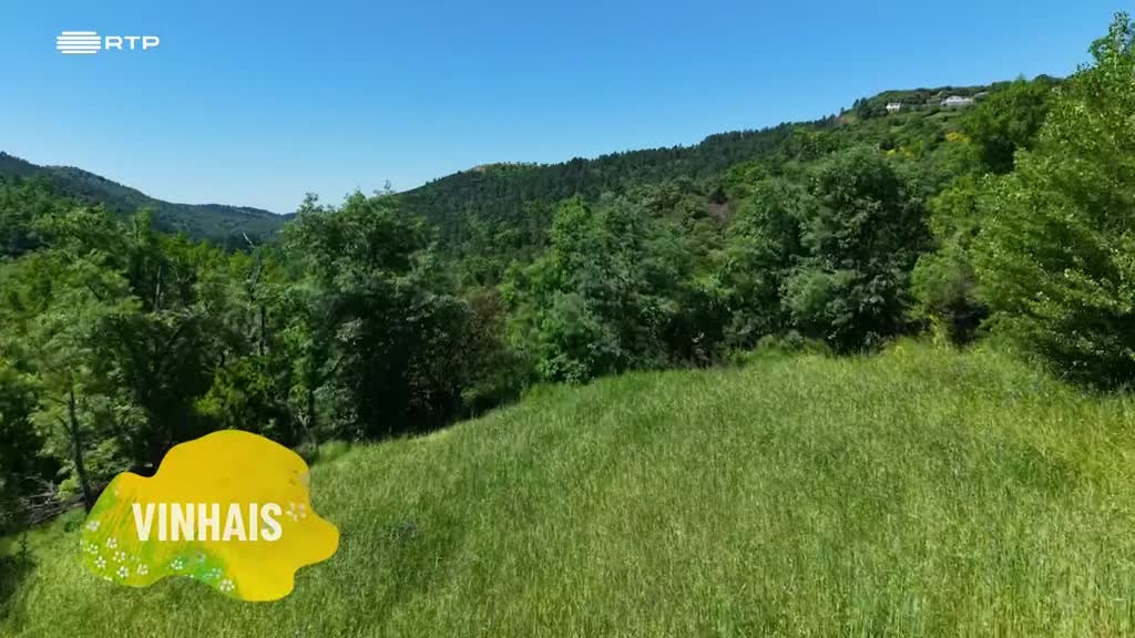 Imagem de Entre o Mar e a Terra - Mel, Cuscos e Batatas nas Terras do Urso Pardo