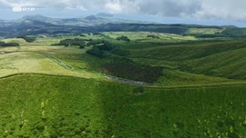 Imagem de Tudo Verde na Ilha Azul