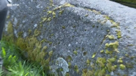 Imagem de Portugal Fenomenal