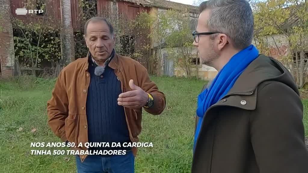 Imagem de Portugal Fenomenal