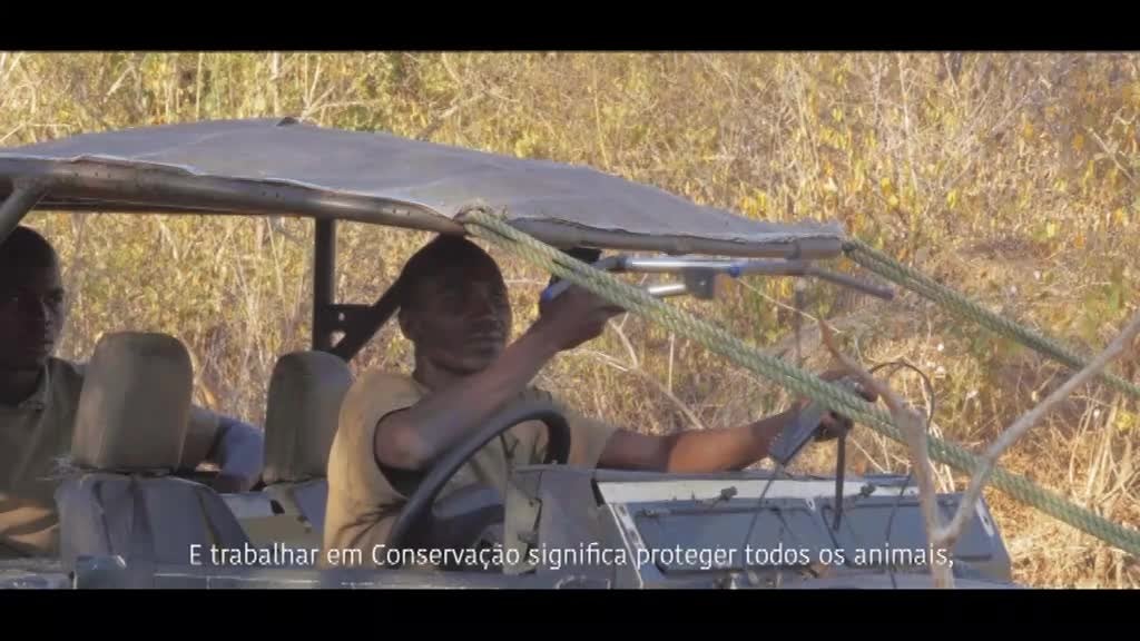 Imagem de Mensageiros do Niassa