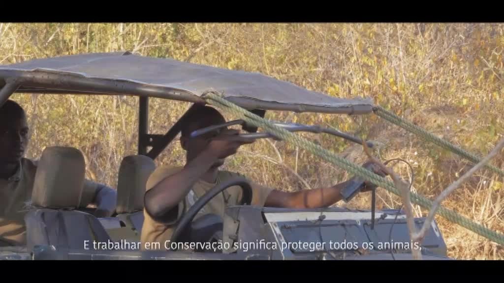 Imagem de Mensageiros do Niassa