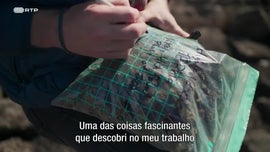 Imagem de Sob o Reinado do Fogo