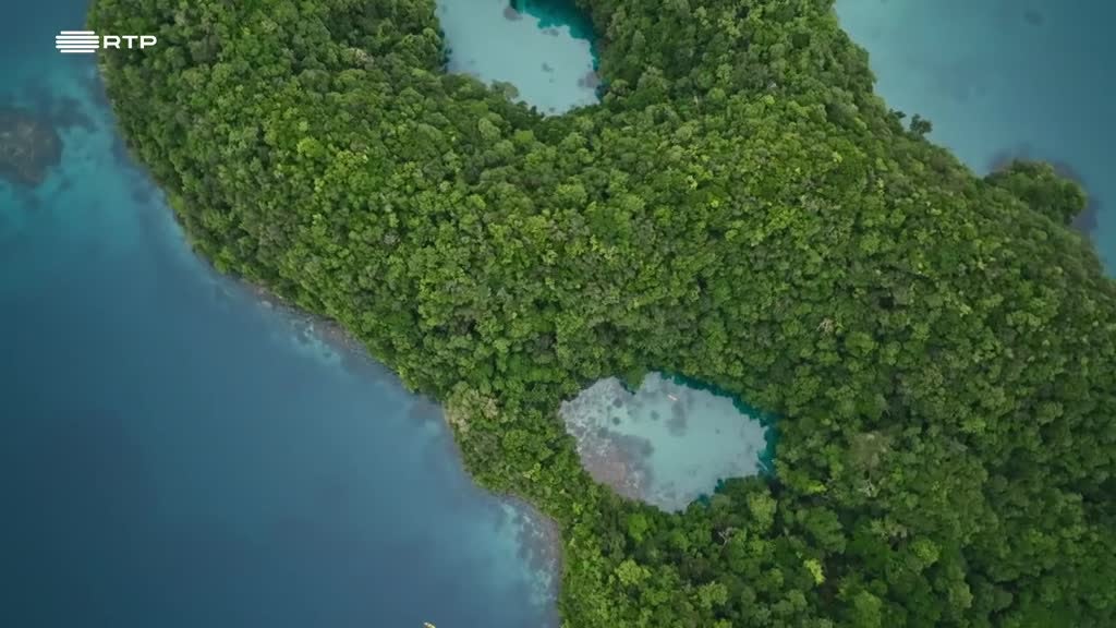 Imagem de Terra de Lendas - Sob o Reinado da Água