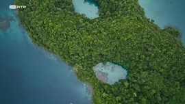 Imagem de Sob o Reinado da gua