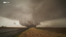 Imagem de Sob o Reinado do Ar