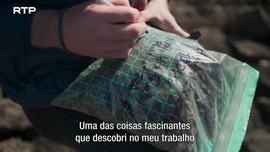 Imagem de Sob o Reinado do Fogo