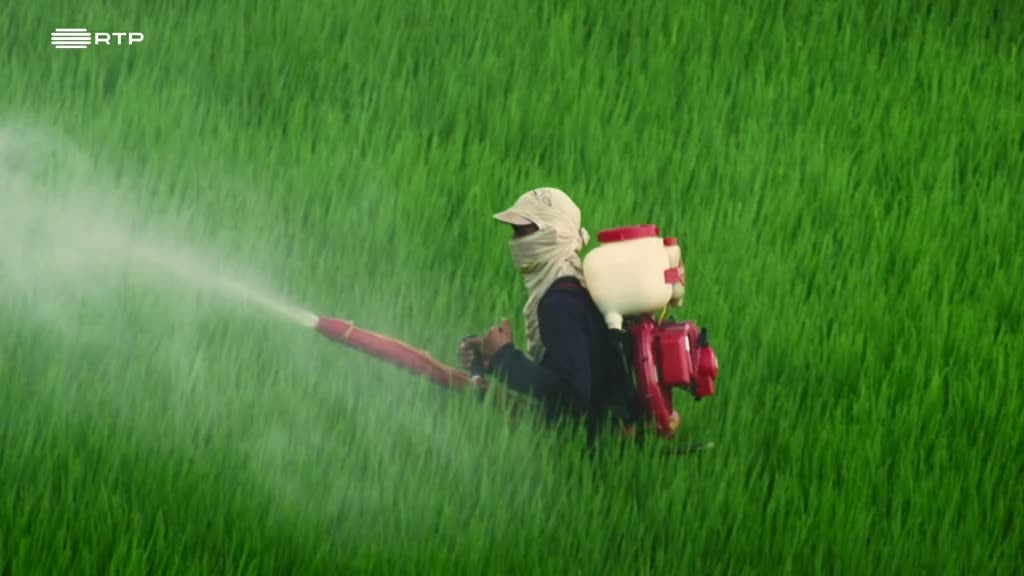 Imagem de Natureza: Um Apelo à Reconciliação