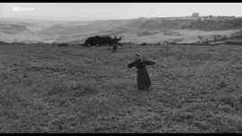 Imagem de Passarinhos e Passar�es