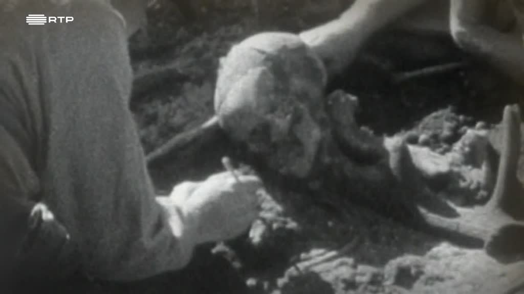 Imagem de O Reino Desaparecido de Carnac