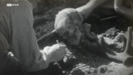 Imagem de O Reino Desaparecido de Carnac