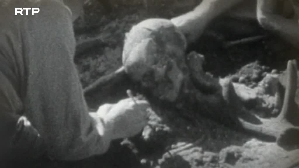 Imagem de O Reino Desaparecido de Carnac