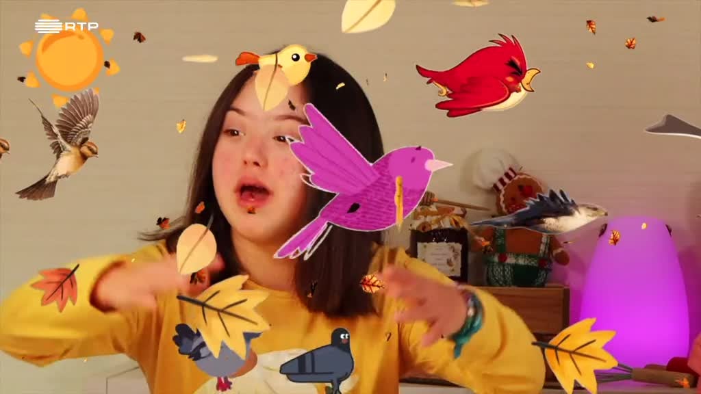 Imagem de A Minha Lancheira - A minha lancheira Piquenique