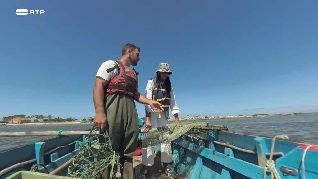 Imagem de Tradição Z