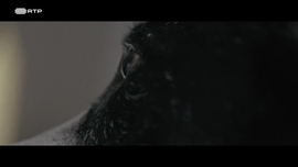 Imagem de Puros Desconhecidos