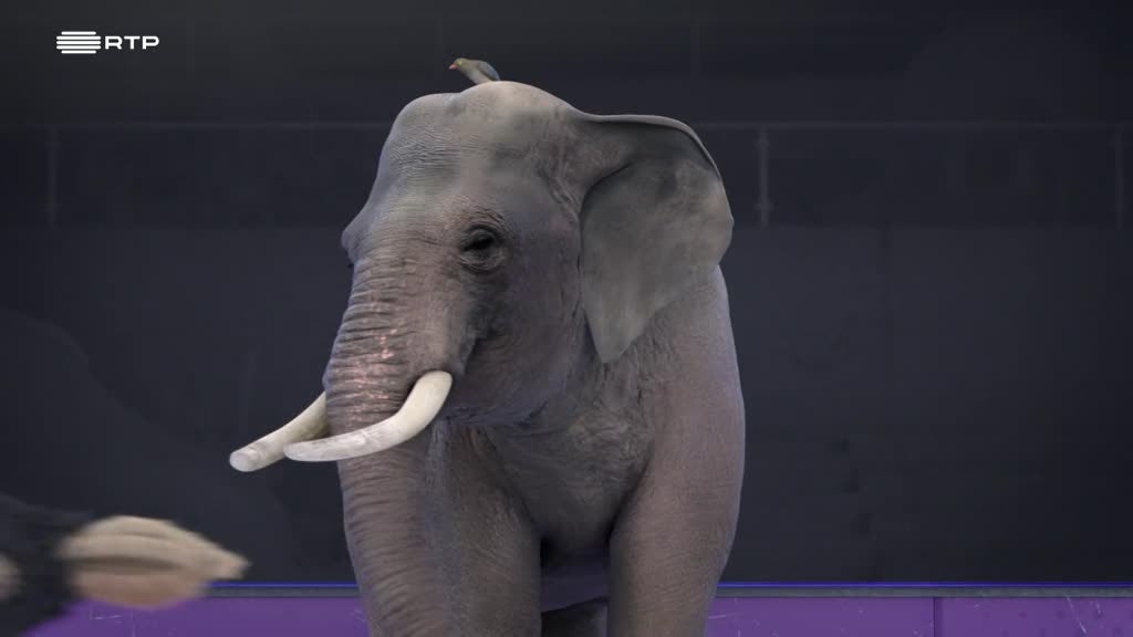 Imagem de Athleticus