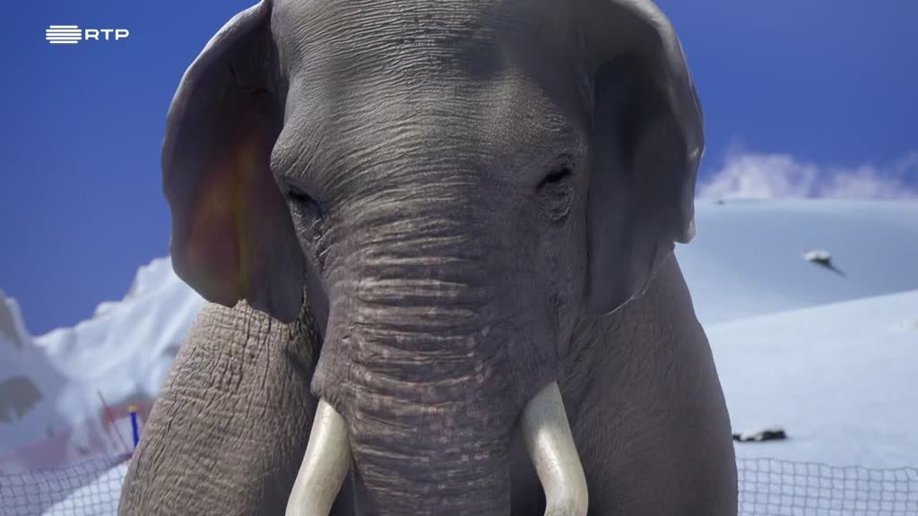 Imagem de Athleticus