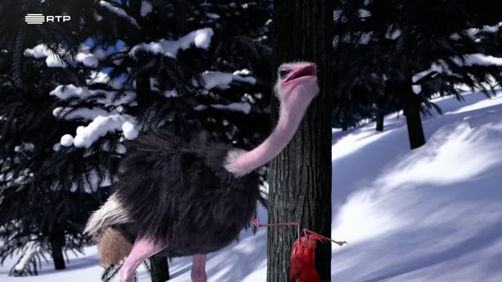 Imagem de Athleticus