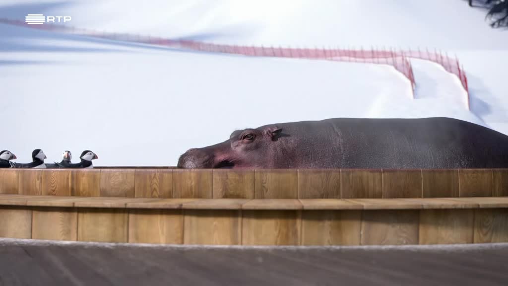 Imagem de Athleticus