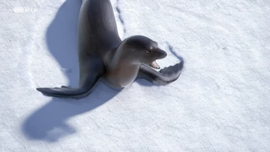 Imagem de Athleticus