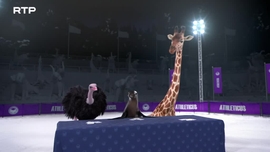 Imagem de Athleticus